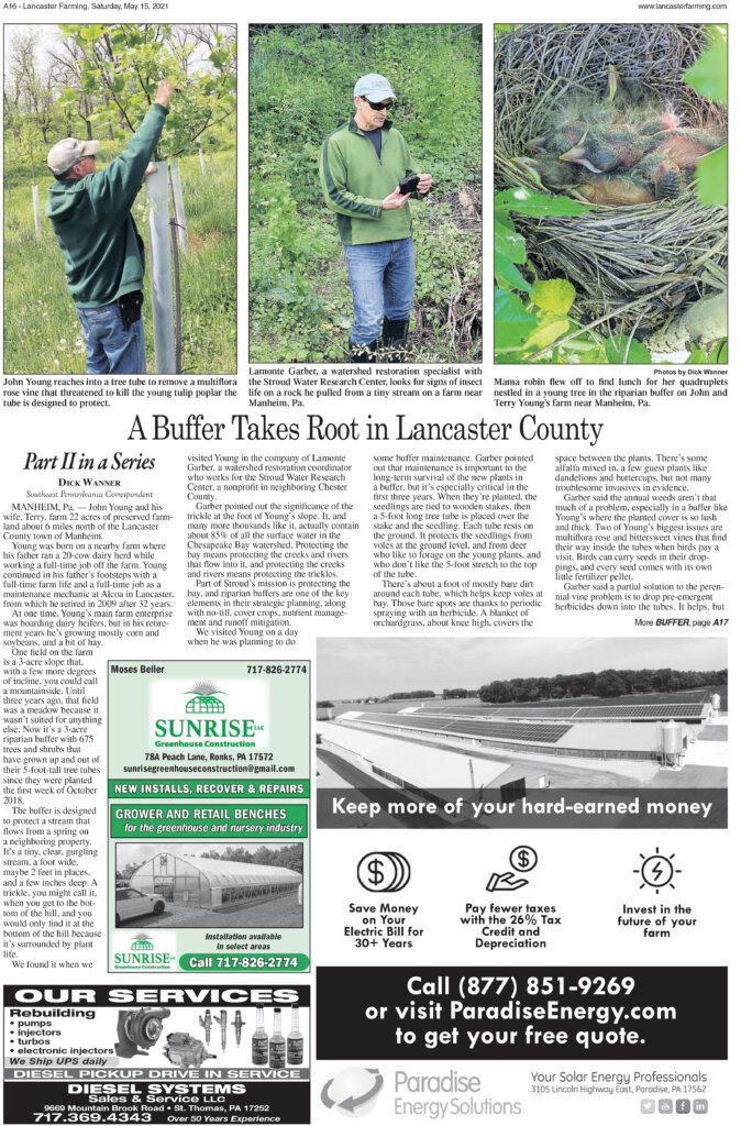 Stroud buffer project